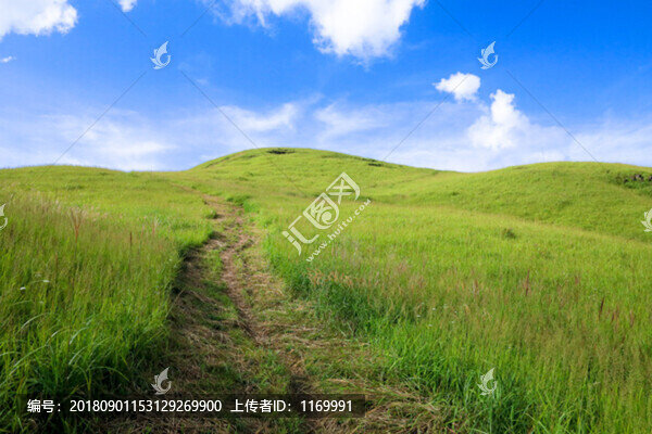 高山草場