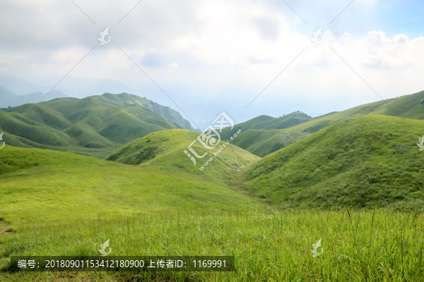 高山草場