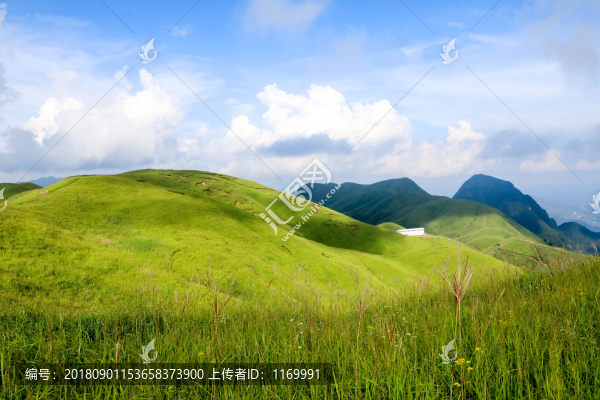 高山草場(chǎng)