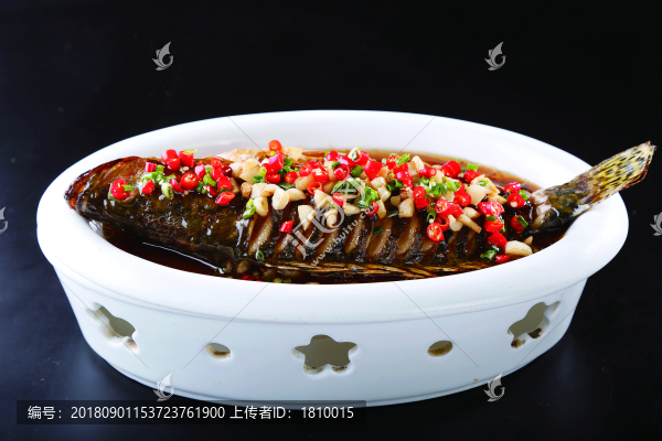 臭桂魚