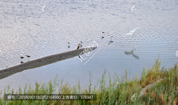 生態(tài)無框畫