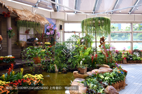花卉世界
