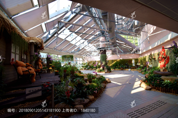 植物園