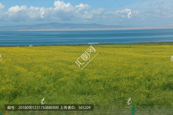 青海湖風(fēng)景