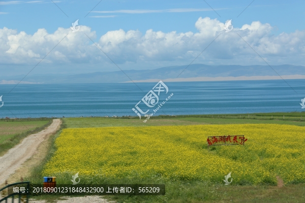 青海湖風景