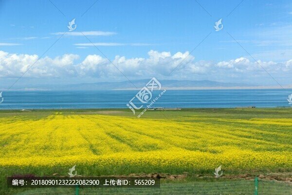 青海湖風(fēng)景