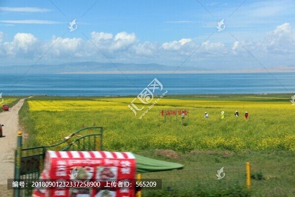 青海湖風(fēng)景