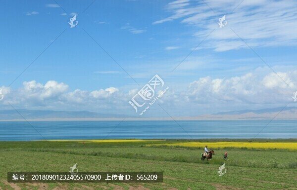 青海湖風景