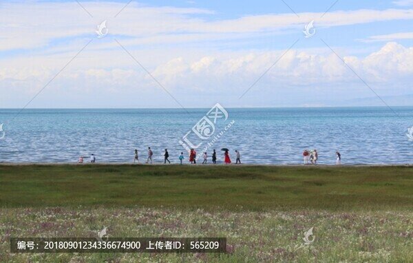 青海湖風(fēng)景