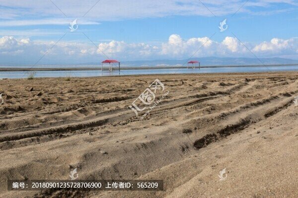 青海湖風景