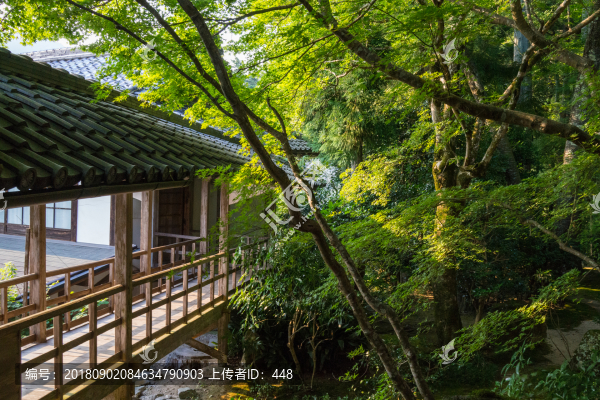 寺廟園林
