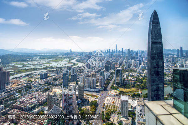 深圳京基100