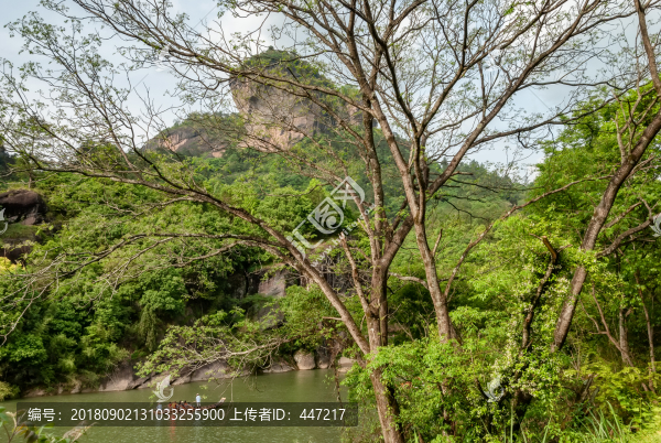 武夷山九曲河漂流
