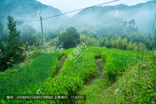 山區(qū)早晨