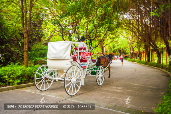 白色景區(qū)觀光馬車