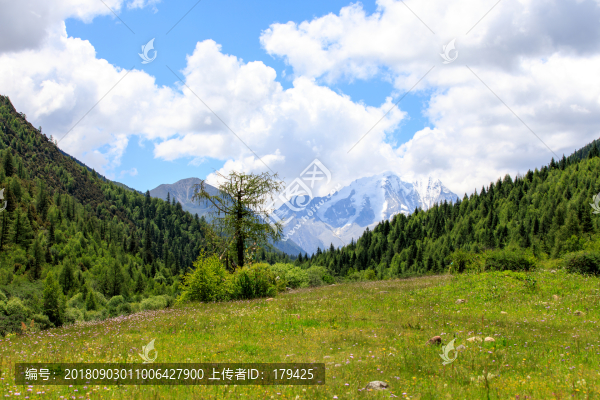 川西風(fēng)光甘孜亞拉雪山