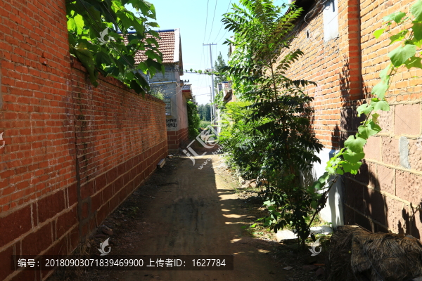 胡同