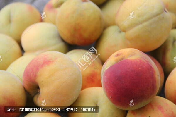 黃桃紅桃