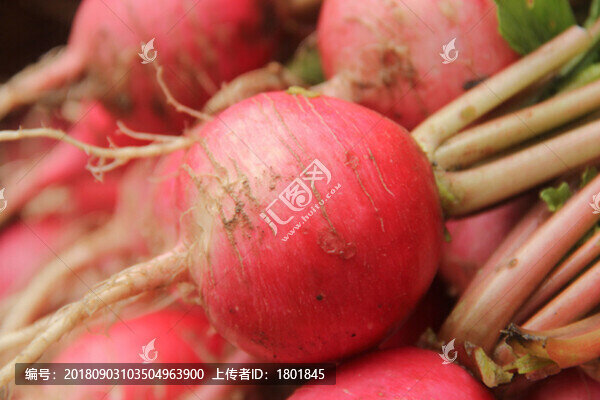 紅蘿卜