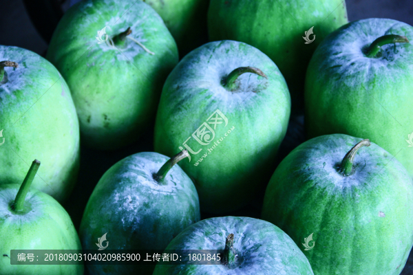水果構(gòu)成