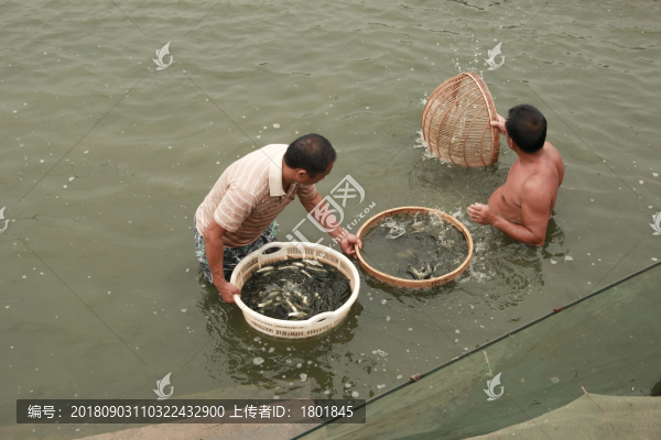 魚類捕撈