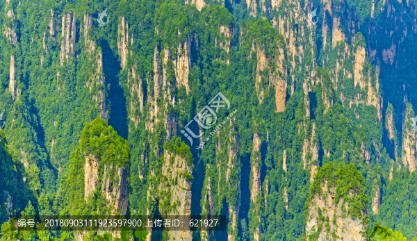 天子山全景圖