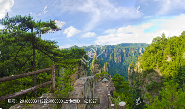 天子山全景圖