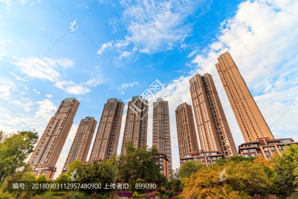 高層住宅樓