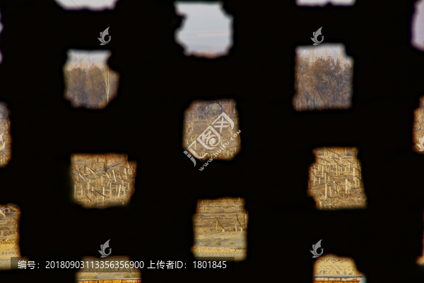 構(gòu)成