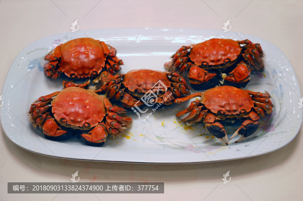 清蒸大閘蟹