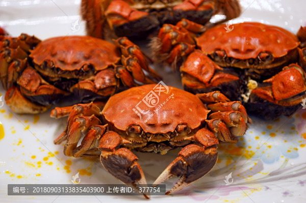 清蒸大閘蟹