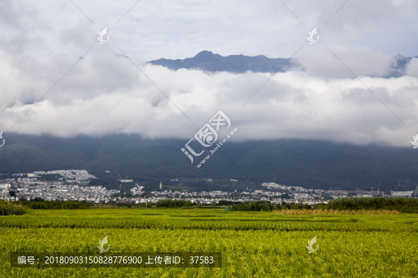 鄉(xiāng)村美景