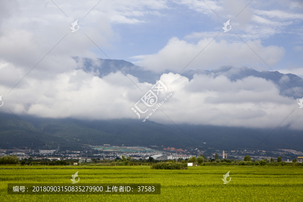 鄉(xiāng)村美景