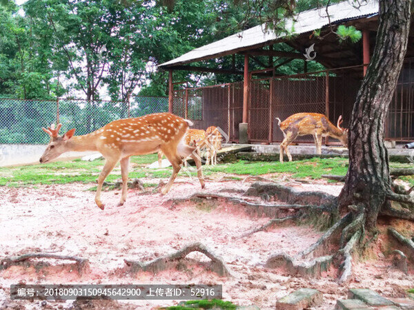動物園