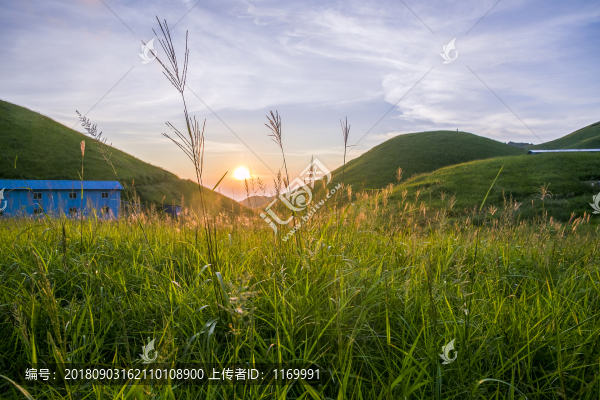 草甸日出