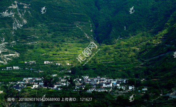 蘿卜寨