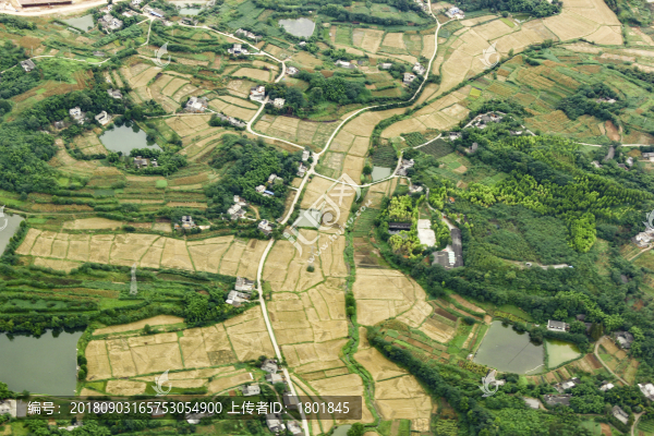 農(nóng)田航拍