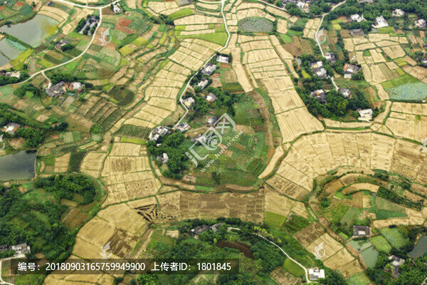 農(nóng)田航拍