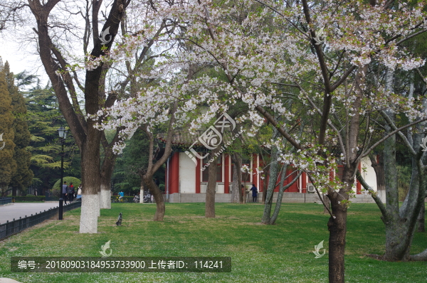 北京大學(xué)校園