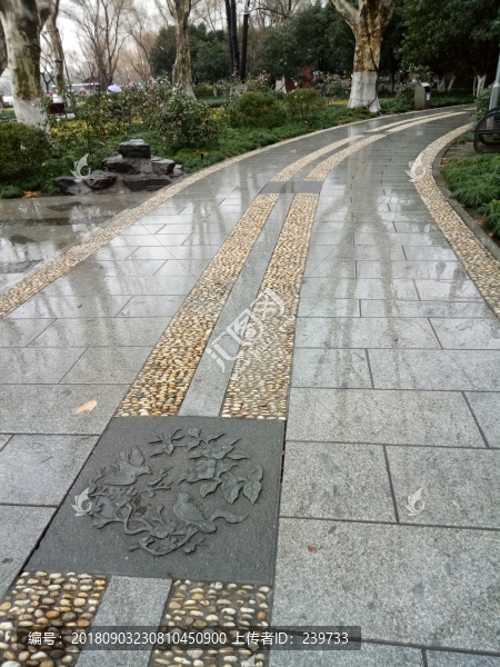 公園道路
