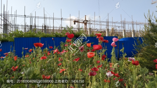 建造中樓房
