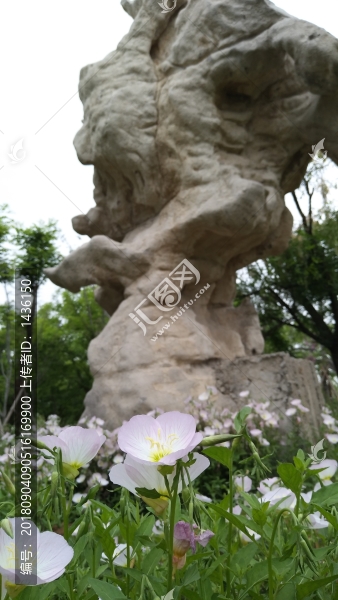 奇石花草