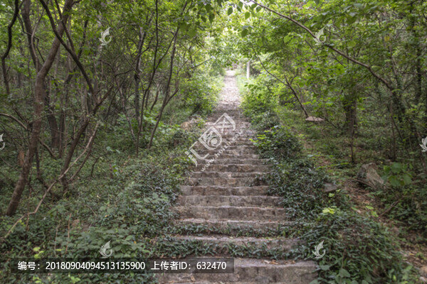 南京原點(diǎn)登山道