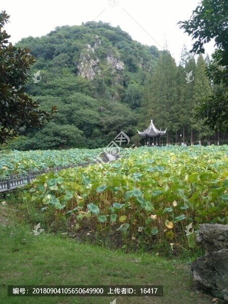 昆山亭林公園