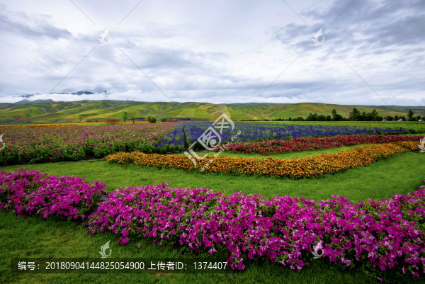 那拉提花海