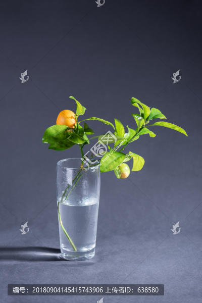 橘子插花