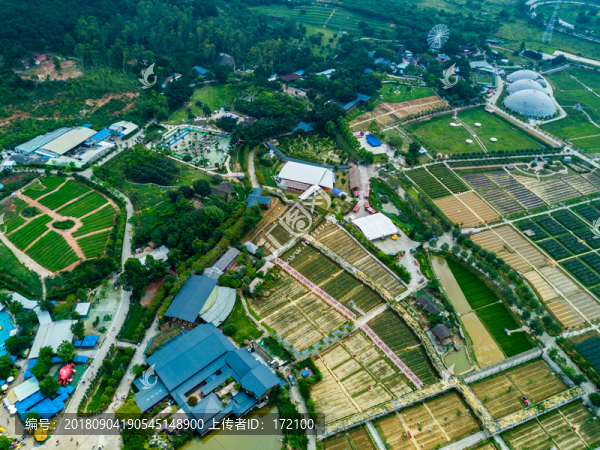 中國佛山高明盈香生態(tài)園