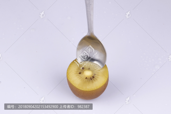 奇異果獼猴桃