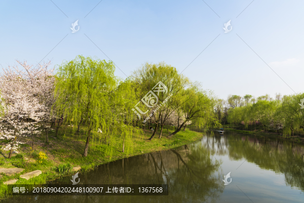 溪水河流