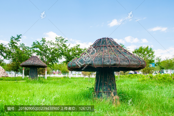 巴里坤風光